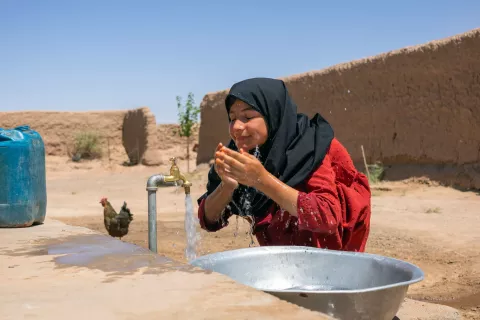 Slide Image