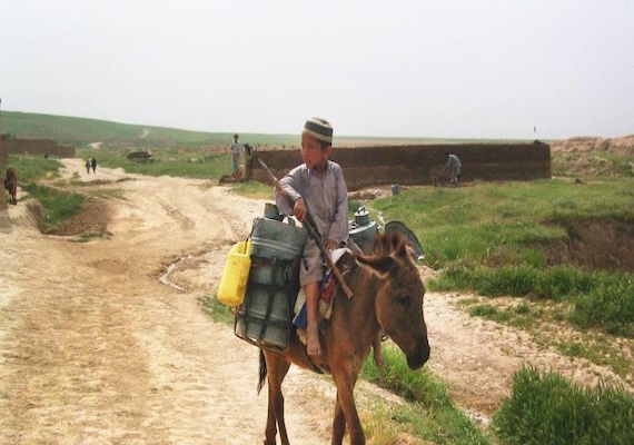 Slide Image